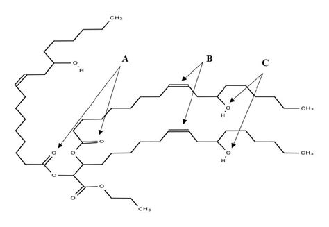 Structure of castor oil molecule. (A) indicates carboxylic groups; (B)... | Download Scientific ...