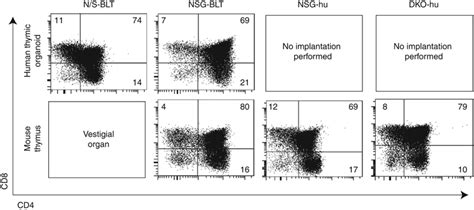 The humanization strategy and mouse strain determine whether a mouse ...