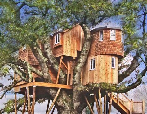 20 of the Most Luxurious Tree Houses You'll Ever See