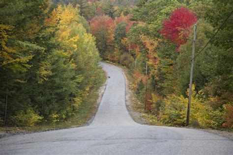 Steep Road in the Fall • Free Nature Stock Photo