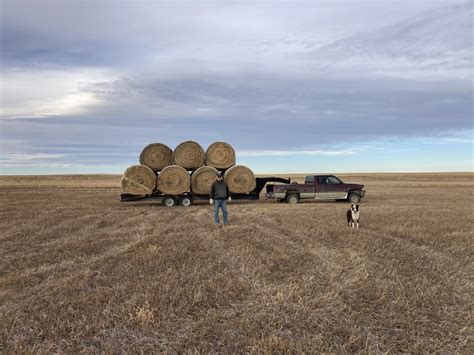 Hauling Hay and Wrecks — A Land of Grass Ranch