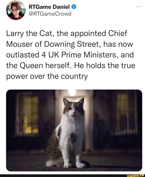 @RTGameCrowd Larry the Cat, the appointed Chief Mouser of Downing Street, has now outlasted 4 UK ...