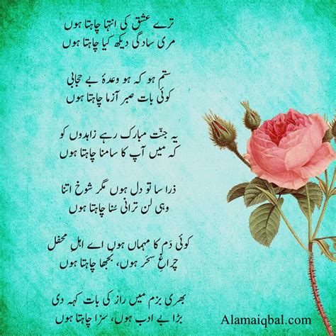 10 Best Allama Iqbal Poems in Urdu For Kids and Students