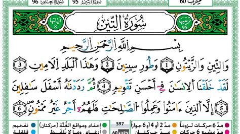 حمزة الجزائري سورة التين مكتوبة برواية ورش عن نافع