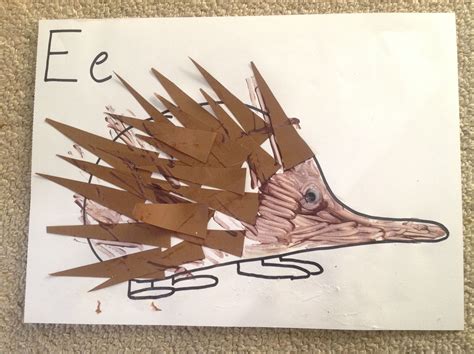 Ee is for echidna Draw the outline of your echidna Use brown triangles ...