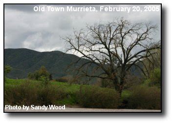 Murrieta Weather Photos and Features