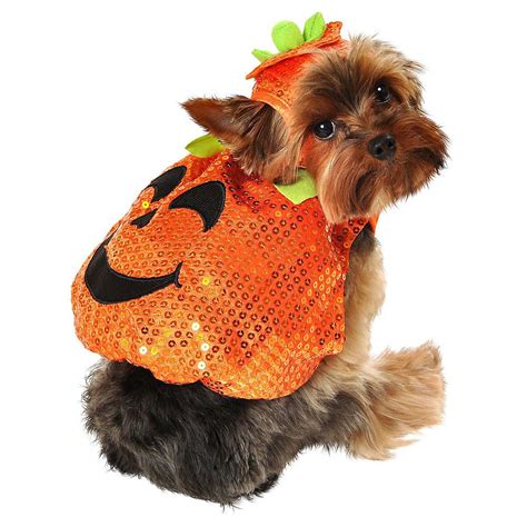 Sequin Pumpkin Dog Costume Image #1 | Pet halloween costumes, Dog costume, Sequin pumpkin