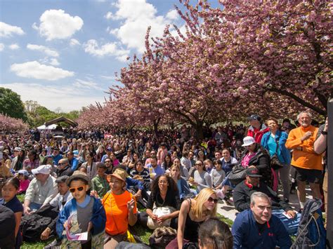 Brooklyn Cherry Blossom Festival Is This Weekend: Here's Everything You ...