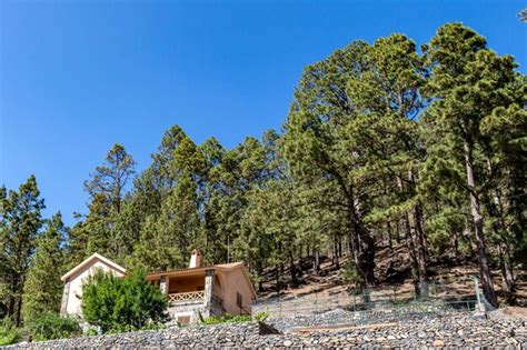 Premium Photo | A house in the woods with a house in the background