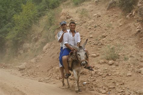 Donkey Riding | kezwan shk | Flickr