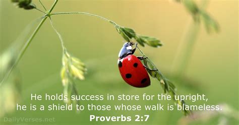 August 24, 2020 - Bible verse of the day - Proverbs 2:7 - DailyVerses.net