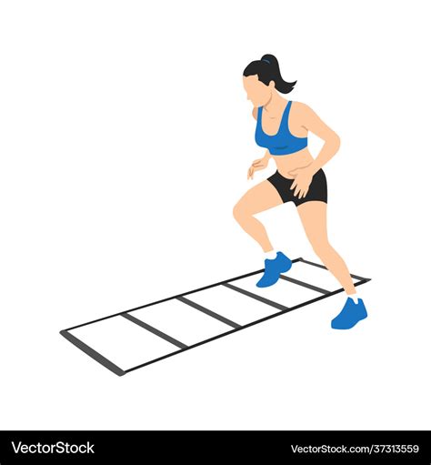 Woman making drill training on agility ladder Vector Image