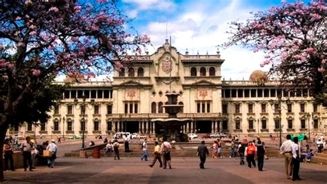 Lugares de Guatemala para observar los árboles de matilisguate más bellos