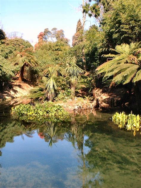 The Jungle Garden, The Lost Gardens Of Heligan, Cornwall. | Jungle gardens, Lost garden, Lost ...