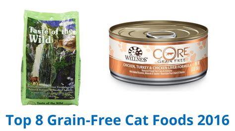 8 Best Grain-Free Cat Foods 2016 - YouTube