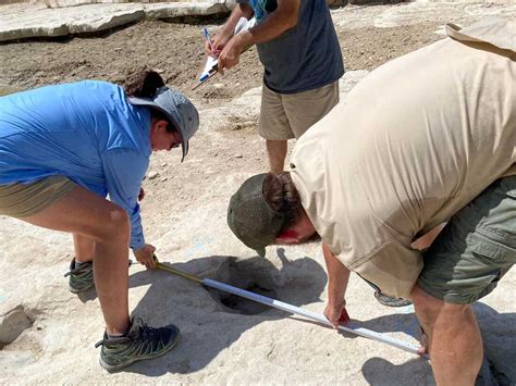 Dinosaur tracks from 113 million years ago uncovered in Texas during drought : NPR