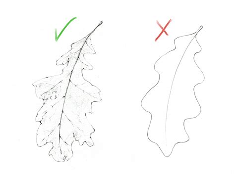 How to draw realistic leaves – ReFine Art Blog