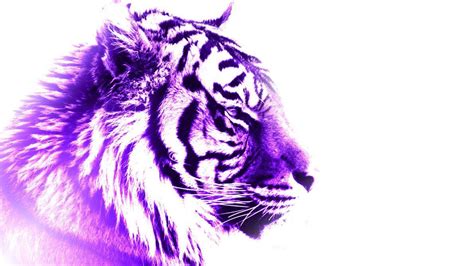 Purple Tiger Wallpapers - Top Free Purple Tiger Backgrounds ...