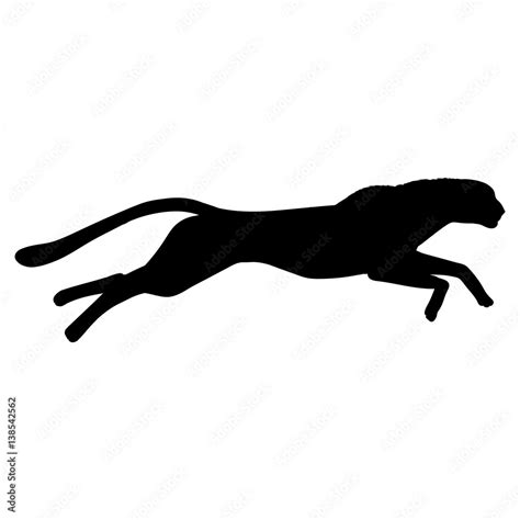 Running cheetah silhouette. Black white vector illustration. Stock ...