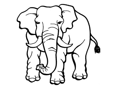 Elephant Coloring Pages