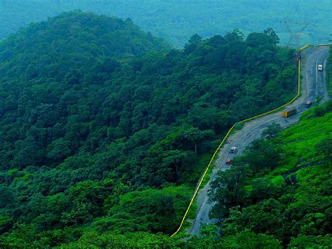 Flora & Fauna, Monsoon, Wayanad, District, Kerala, India