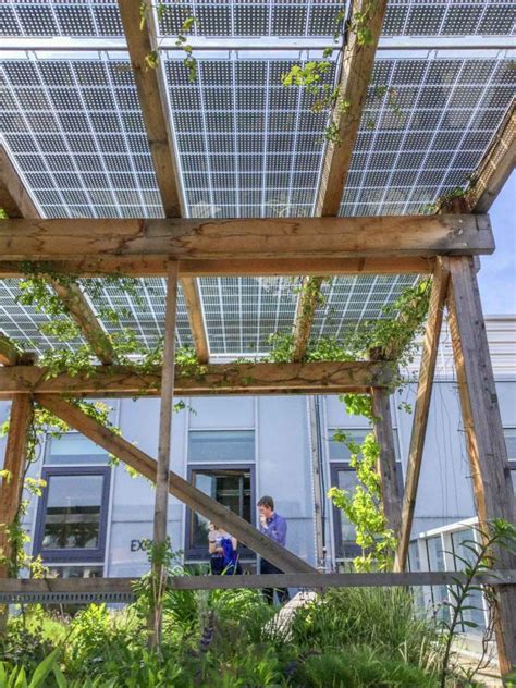 A solar intensive green roof - rooftop garden Vienna, Austria