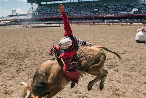 The Rodeo: Bull Riding - Cheyenne Frontier Days