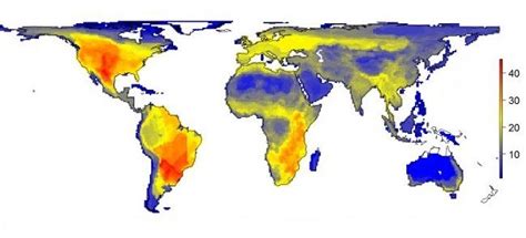 Earth would be one giant zoo if humans never existed, new study shows