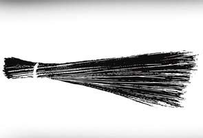 Aam Aadmi Party gets broom as symbol for election