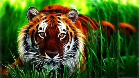 White Tiger Wallpapers Free Wallpaper | Tiger wallpaper, Tiger pictures ...