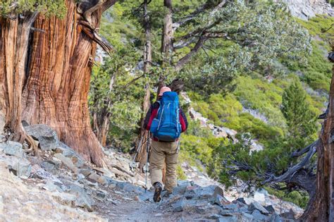 Hike in Sierra Nevada | Stock image | Colourbox