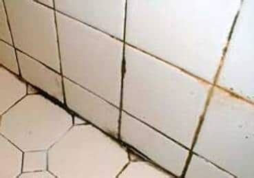 Got Black Mold on Grout? Remove Mold from Shower and Kitchen Grout