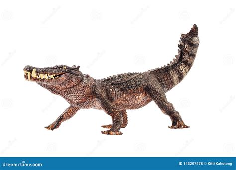 Kaprosuchus , Dinosaur on White Background Stock Photo - Image of dinosaur, cretaceous: 143207478