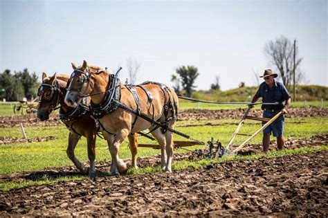 Plowing Competition – International Plowing Match 2024