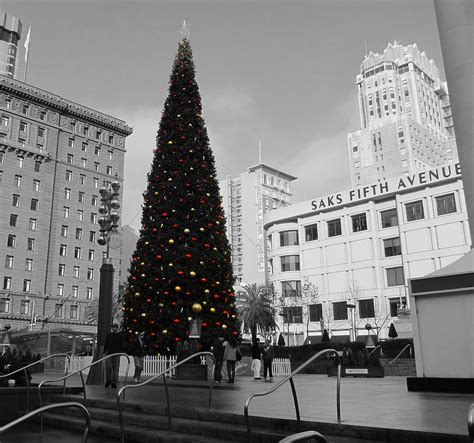 Christmas Tree-Union Square Photograph by Douglas Barnard - Fine Art America