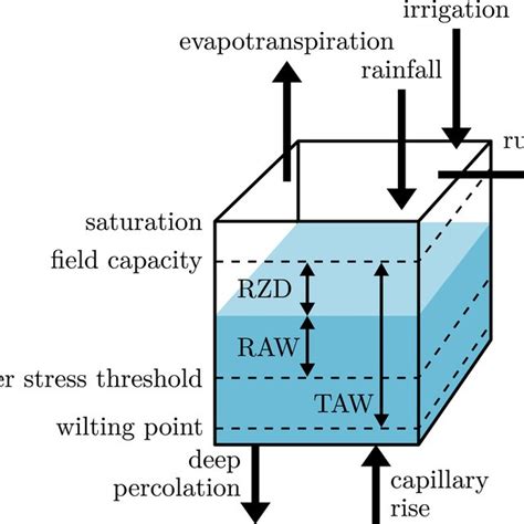 Basic water balance model (adapted from Allen et al., 1998, Figure 43 ...