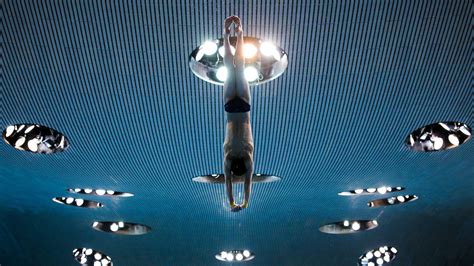 Platform and Springboard Diving | An Introduction to the Basics of Diving