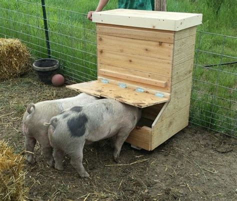 Pig feeder, Pig farming, Pig