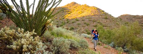 Best Phoenix, AZ Hiking Trails For Casual Walks & Beginners