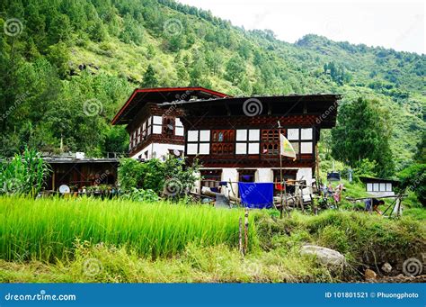 Traditional Houses in Thimphu, Bhutan Stock Image - Image of high, heritage: 101801521