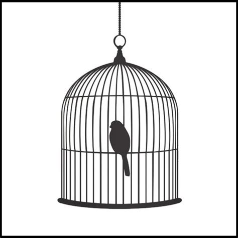 Bird In A Cage Drawing at PaintingValley.com | Explore collection of ...