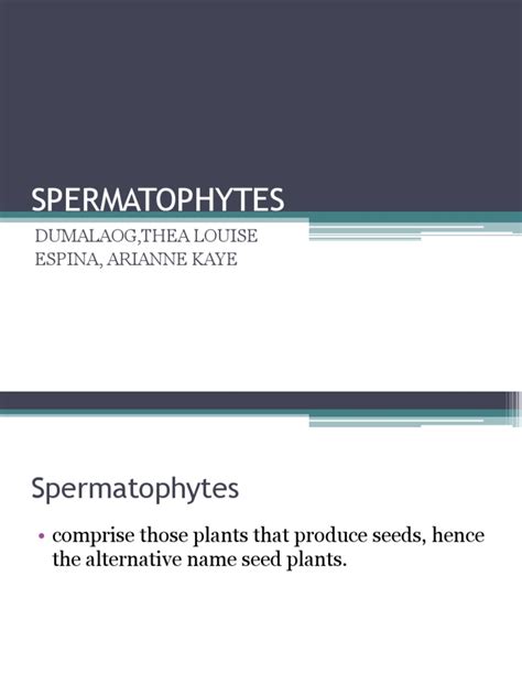 Spermatophytes | PDF | Pinophyta | Organisms