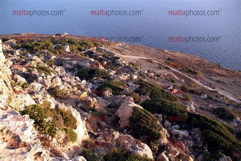 Dingli Cliffs - Malta Photos