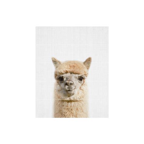 IXXI: Alpaca Wall Art (80cm x 100cm) | at Mighty Ape NZ