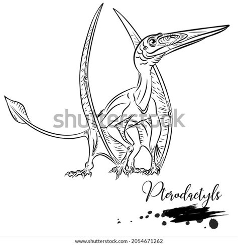 Pterodactyls Realistic Sketch Aquatic Dinosaur Vector Stock Vector (Royalty Free) 2054671262 ...