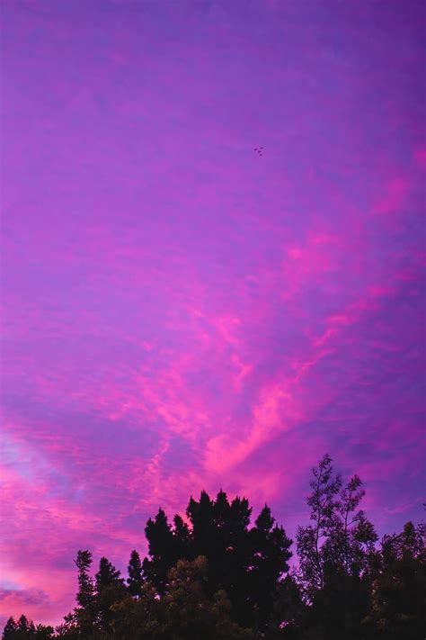 Purple Aesthetic Sky Background Laptop