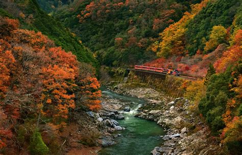 nature, Landscape, Train, River, Mountains, Forest, Fall, Canyon, Japan, Colorful Wallpapers HD ...