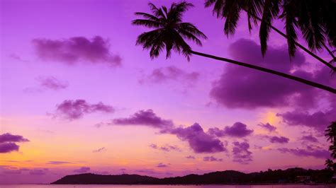 4k Purple Sunset Wallpapers - Wallpaper Cave