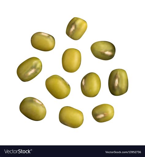 Mung beans isolated on white background Royalty Free Vector