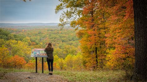 Keep track of Indiana’s fall foliage with the Brown County Leaf Cam ...